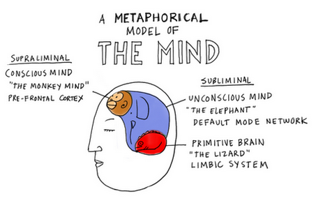 model of mind